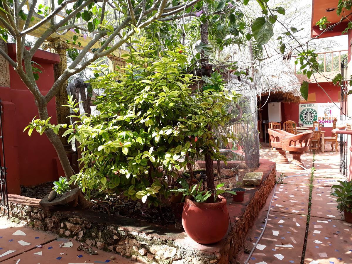 El Chac Mool Bed & Breakfast Santa Elena Exterior photo